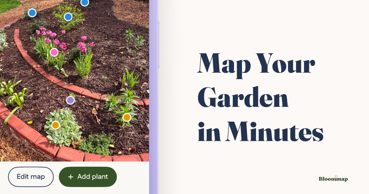 The Southern Classic Foundation Bed — planting plan for a 20 × 6 ft bed