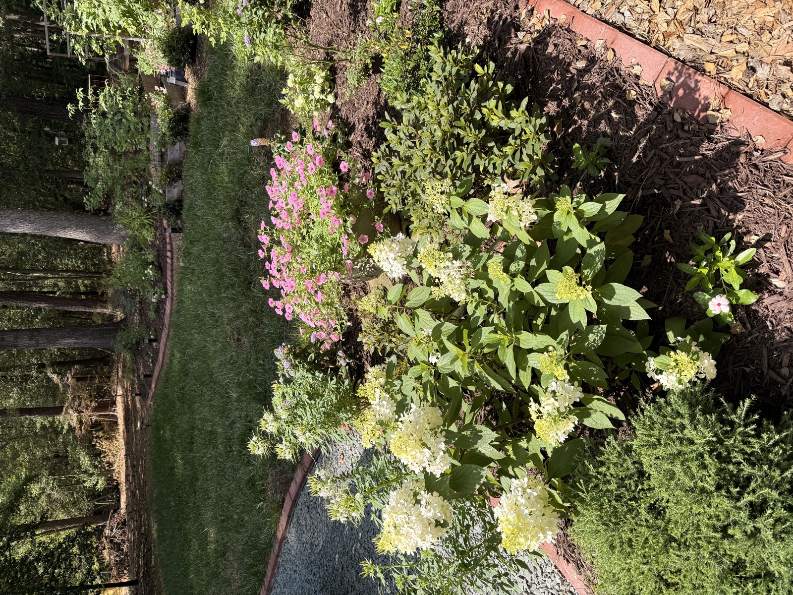Garden beds with hydrangeas and pink flowers beneath mature trees