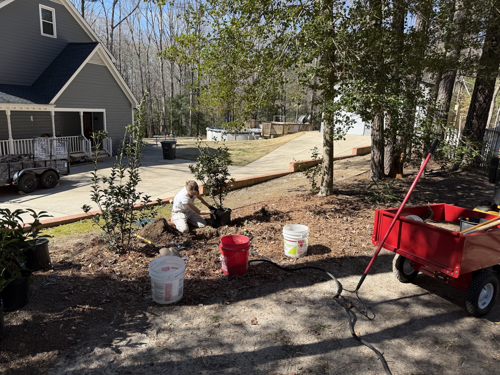 The 200-ft privacy screen: Before February 2025 - Anna's garden in Raleigh, NC