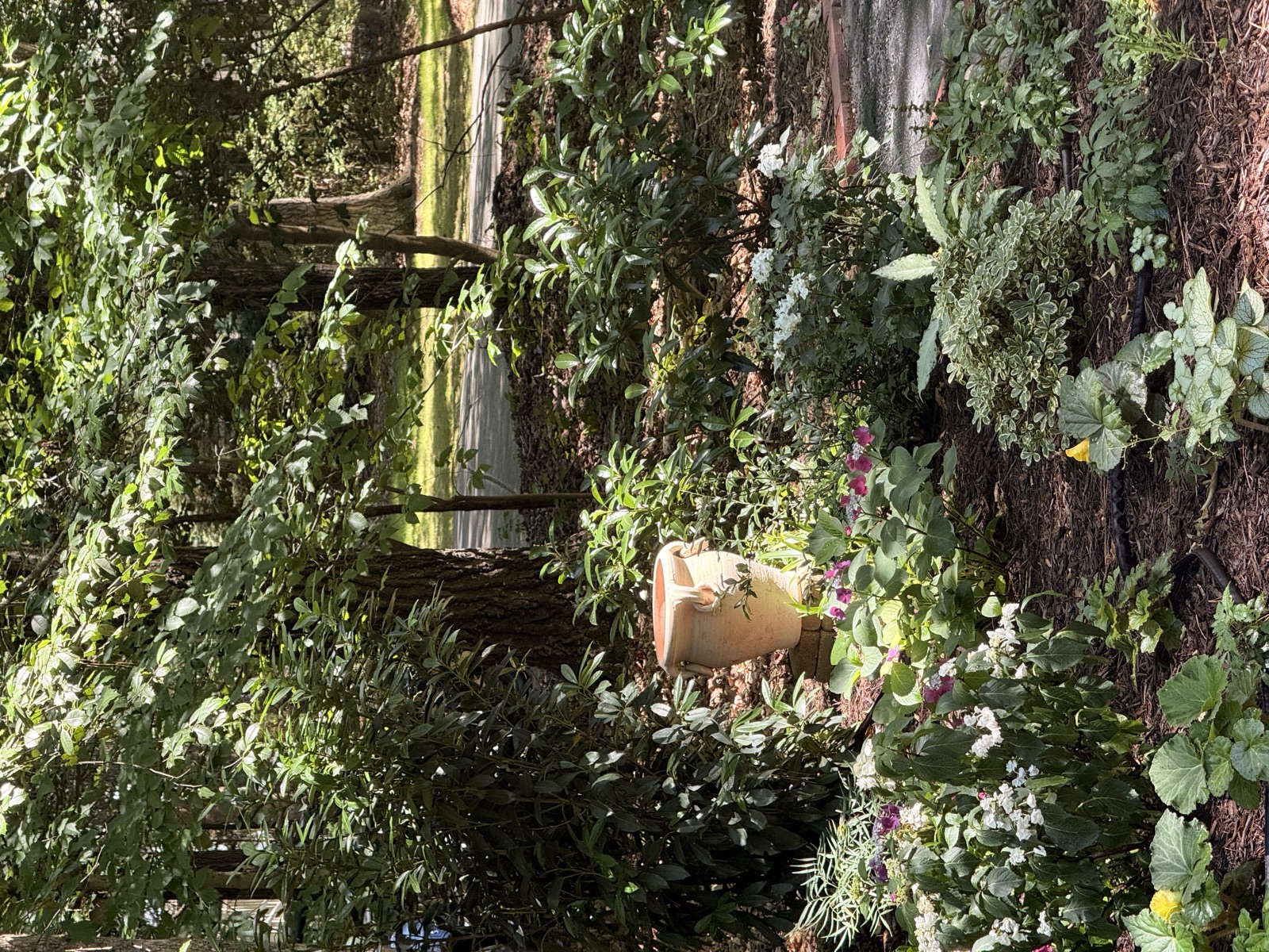 A layered shade garden with flowers and evergreen structure