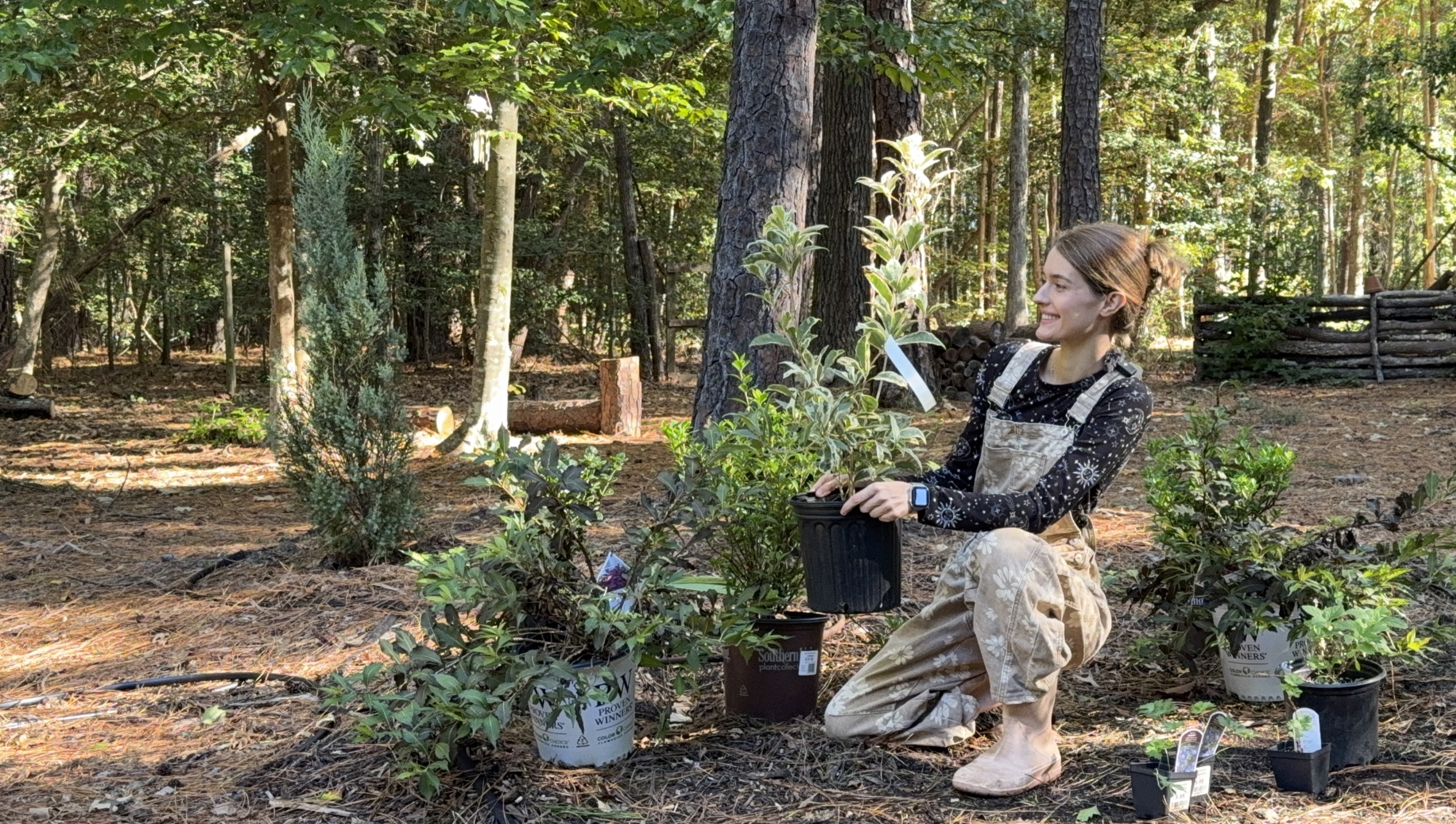 Anna kneeling among potted shrubs while laying out the juniper and pine bed