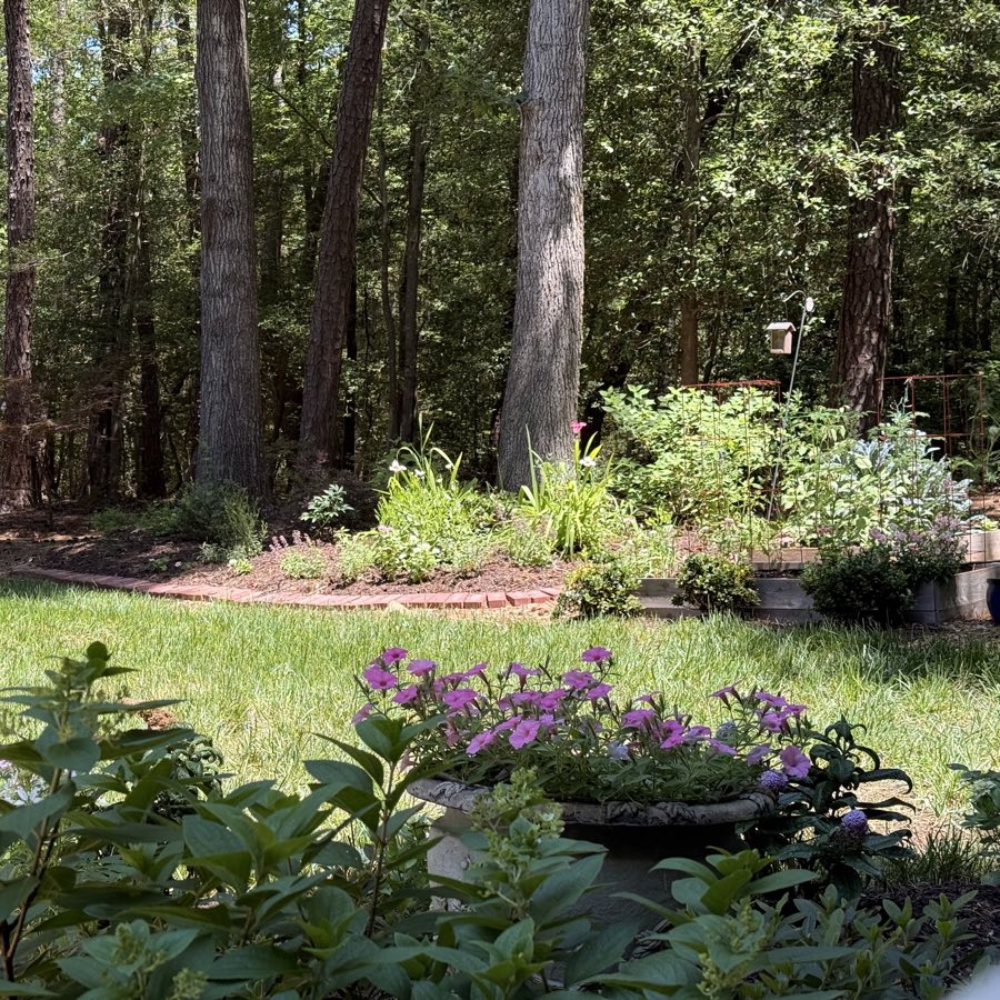A sunny ornamental bed opening into mature woodland